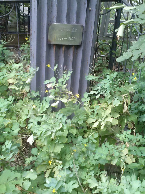 Карлинский Д. И., Саратов, Еврейское кладбище